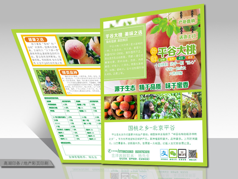 土特產(chǎn)類(lèi)-彩頁(yè)印刷